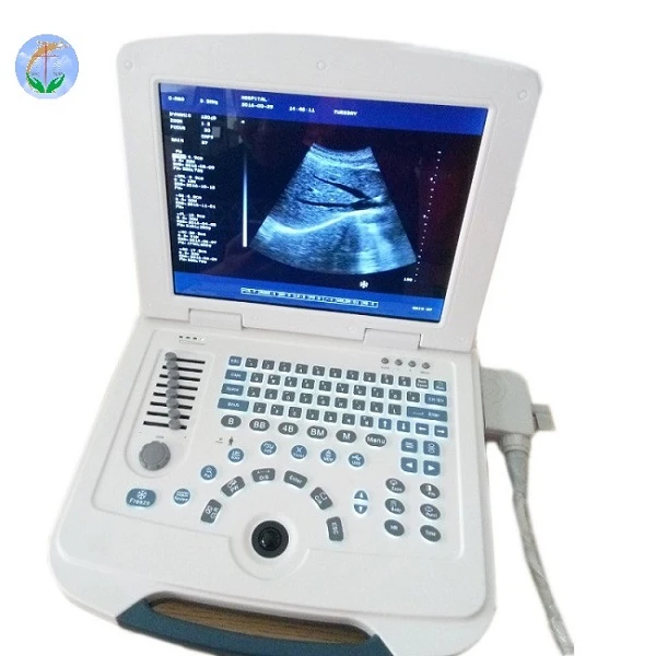 Medical Ultrasound