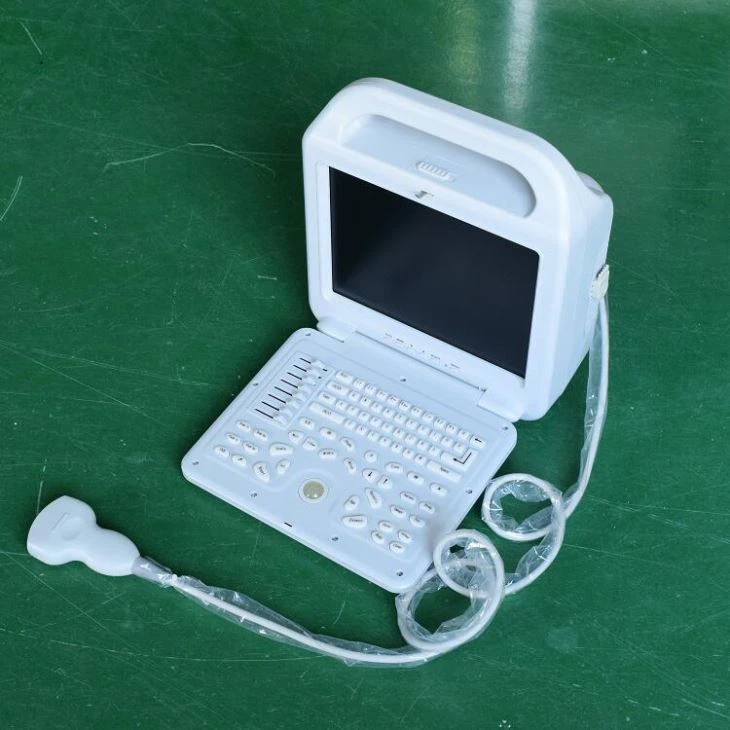 Portable B / W Laptop Ultrasound Scanner
