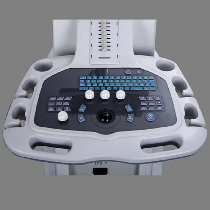 Pelvis Ultrasound Scanner