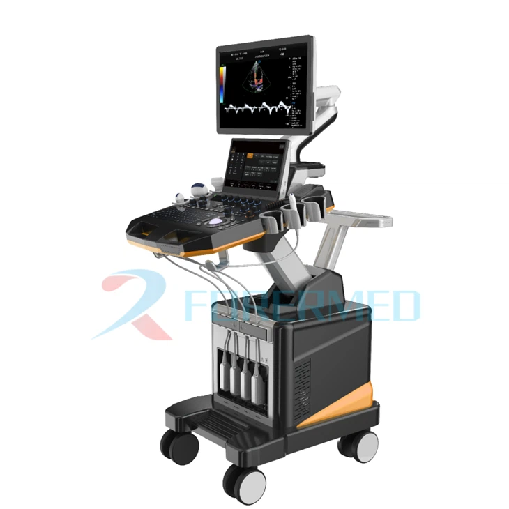 Cardiac Echo Sonographer